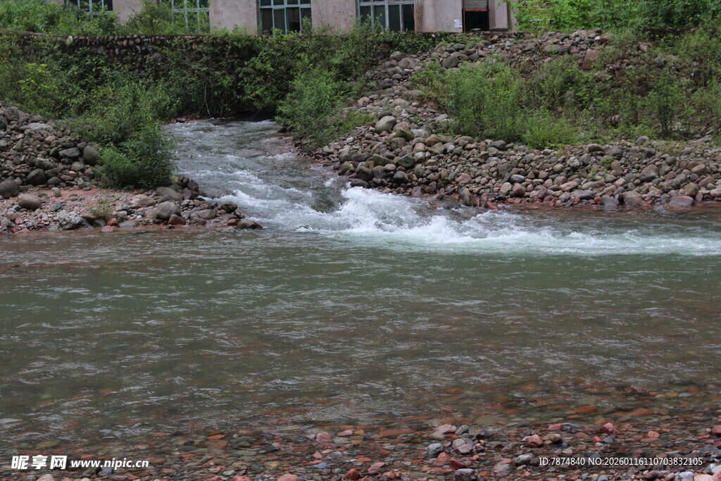 山间溪流潺潺流淌