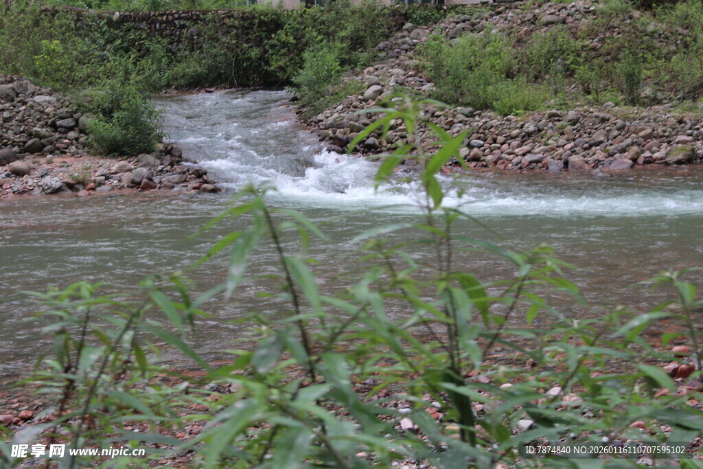 山间溪流旁的绿植景观