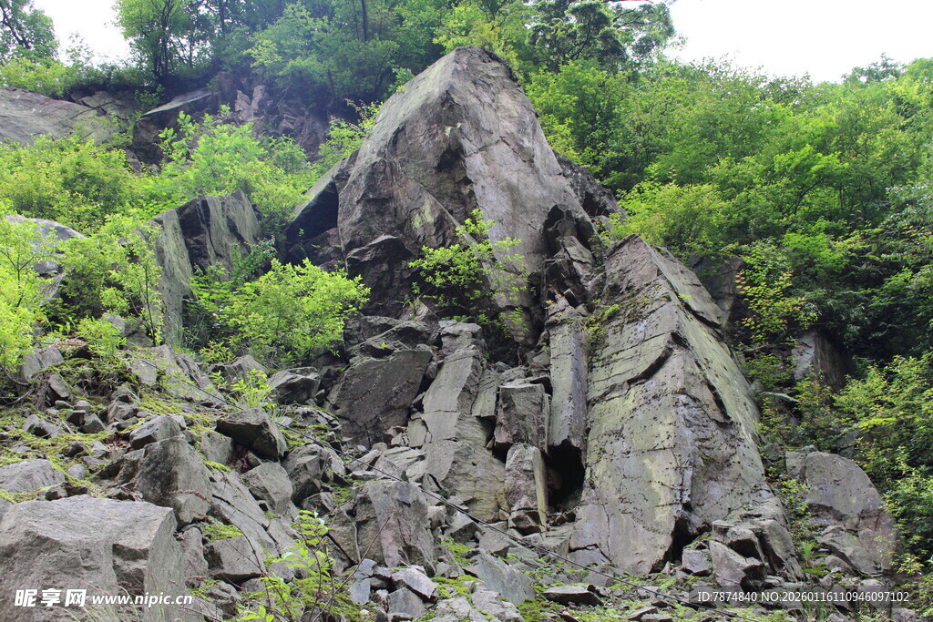 嶙峋山石与葱郁植被景观