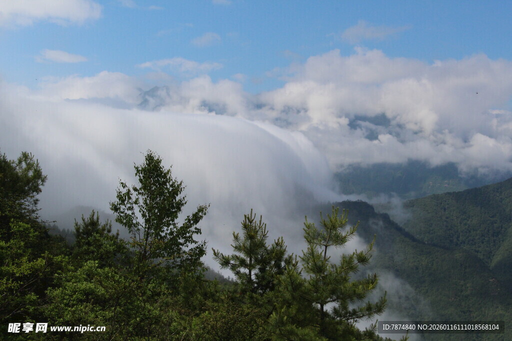 山间云海与葱郁林木