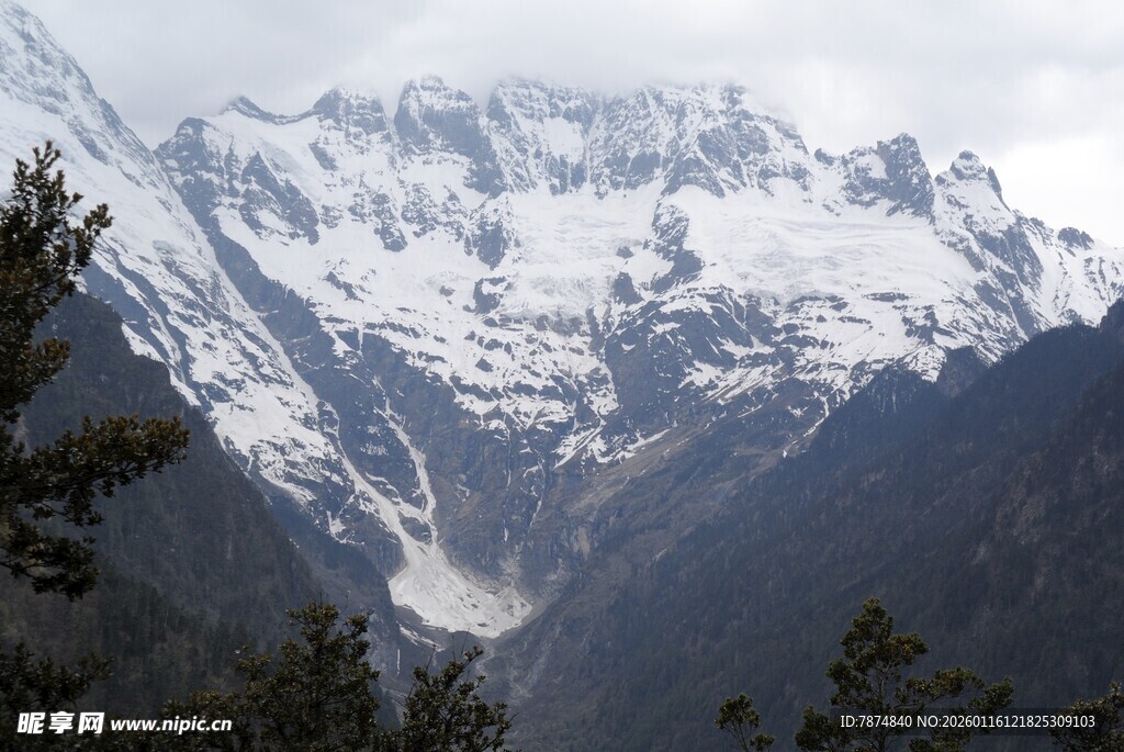壮丽雪山与葱郁林木景观