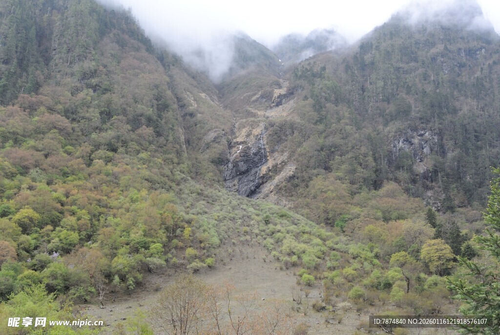 山间峡谷绿意盎然景观