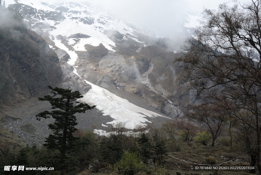 雪山山林景观