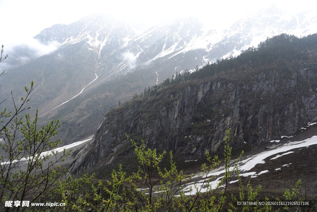 雪山下的山林风光