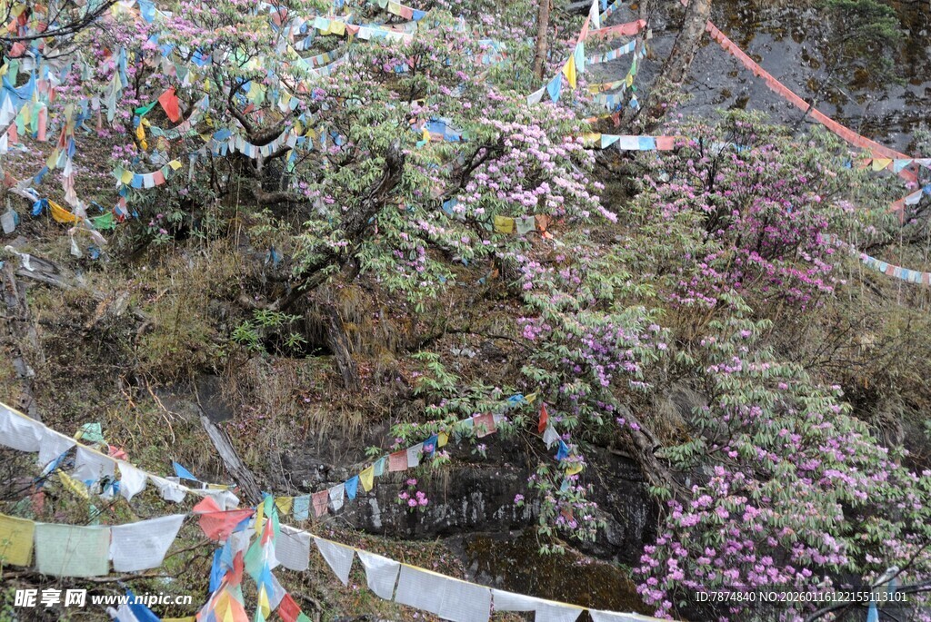 山间经幡与繁茂植被景观