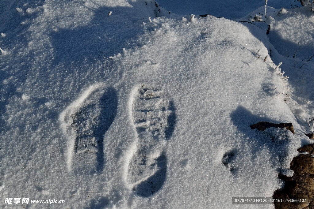 雪地上的清晰脚印