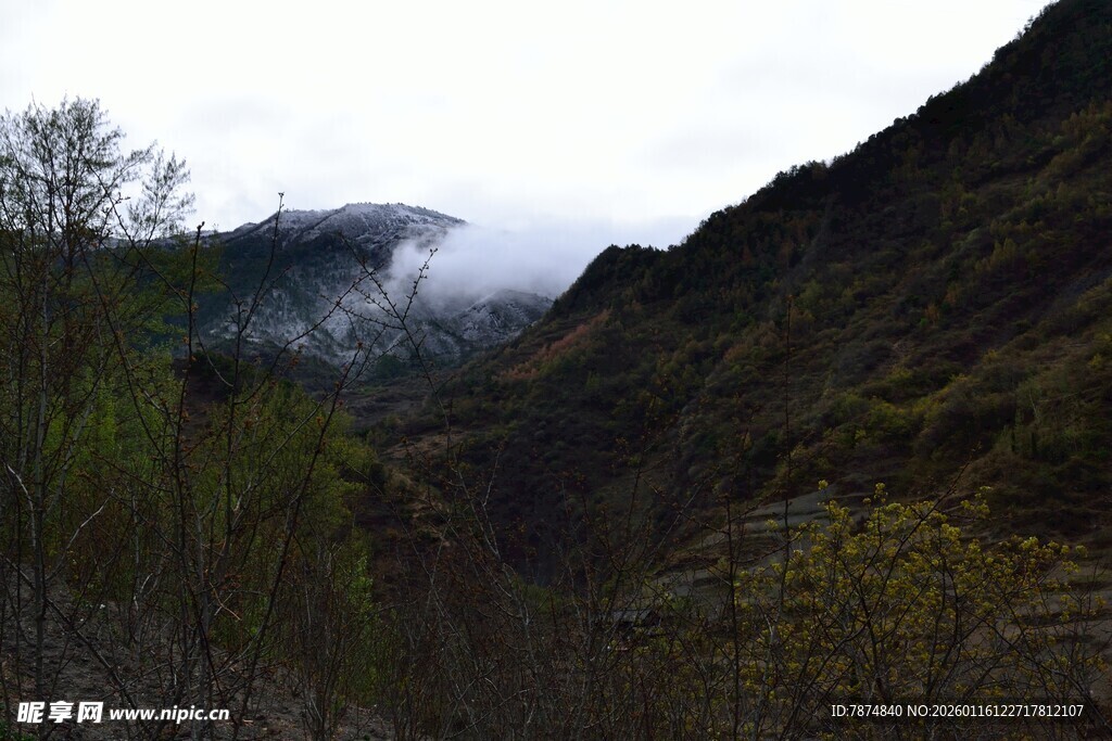 山间云雾缭绕的秀丽景致