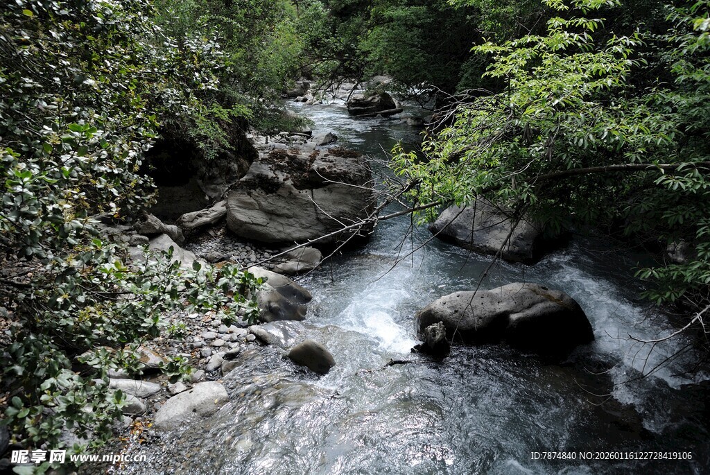 山间溪流 绿意环绕的美景