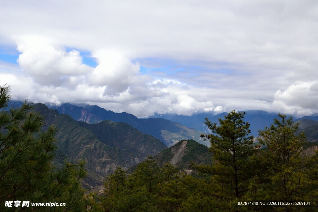 山间云景 葱郁林木