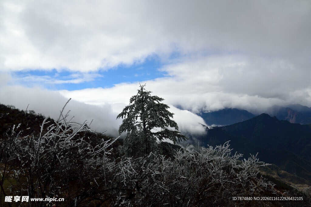 雪覆山林 云雾缭绕之景