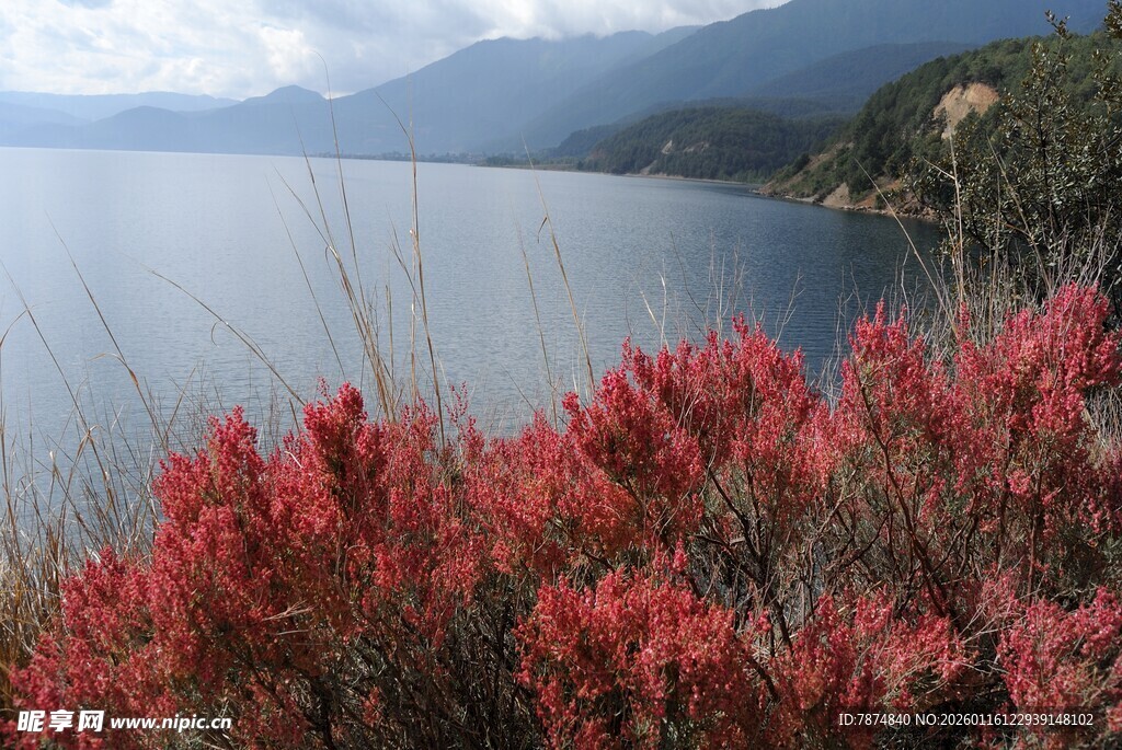 湖畔红植与远山美景