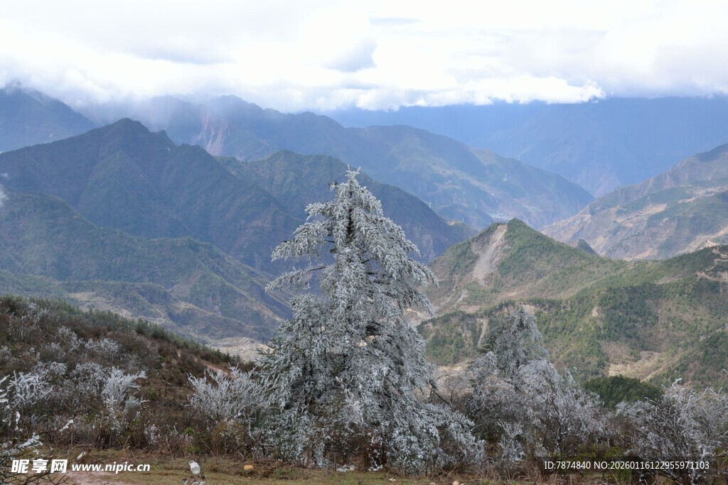 雪山旁的植被与壮丽山景