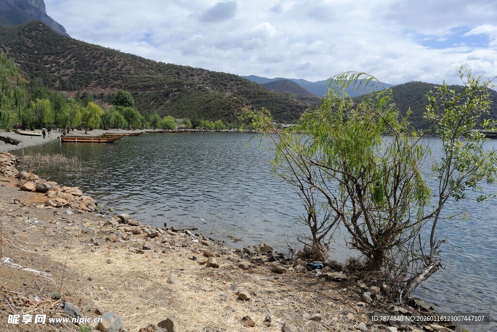 湖畔孤树 山水相依之景