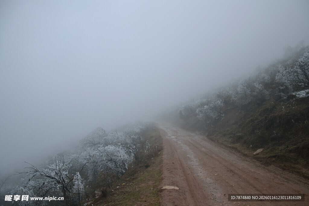 雾中蜿蜒的泥泞道路
