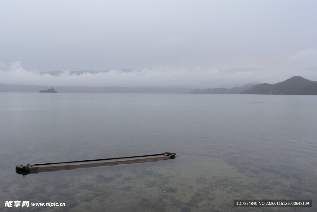 平静湖面中的孤独长木