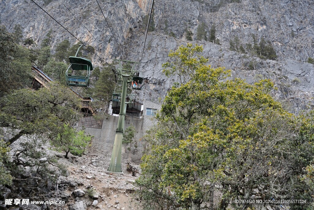 山间缆车穿行于繁茂植被间