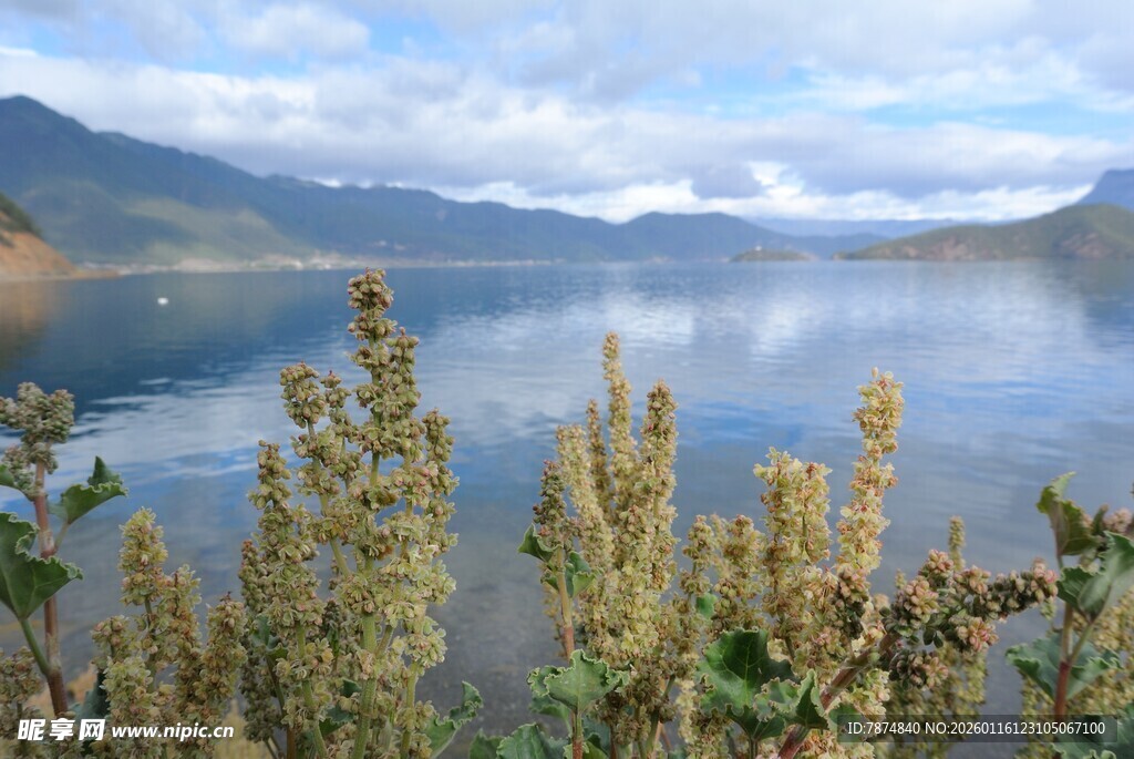 湖畔风光 远山近植映碧水