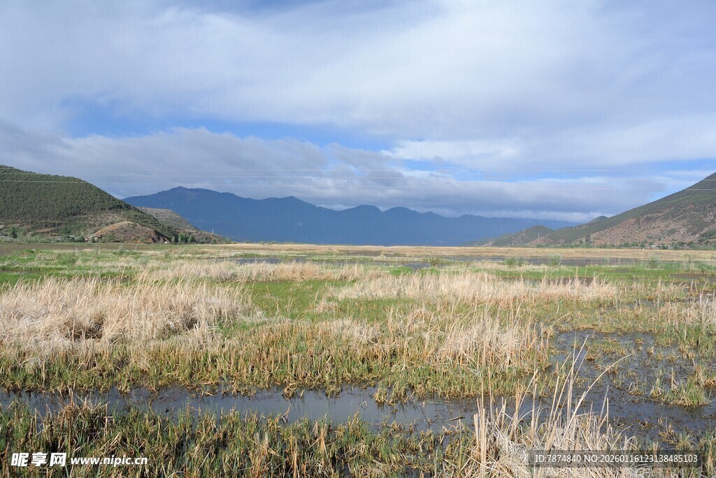广袤湿地景观
