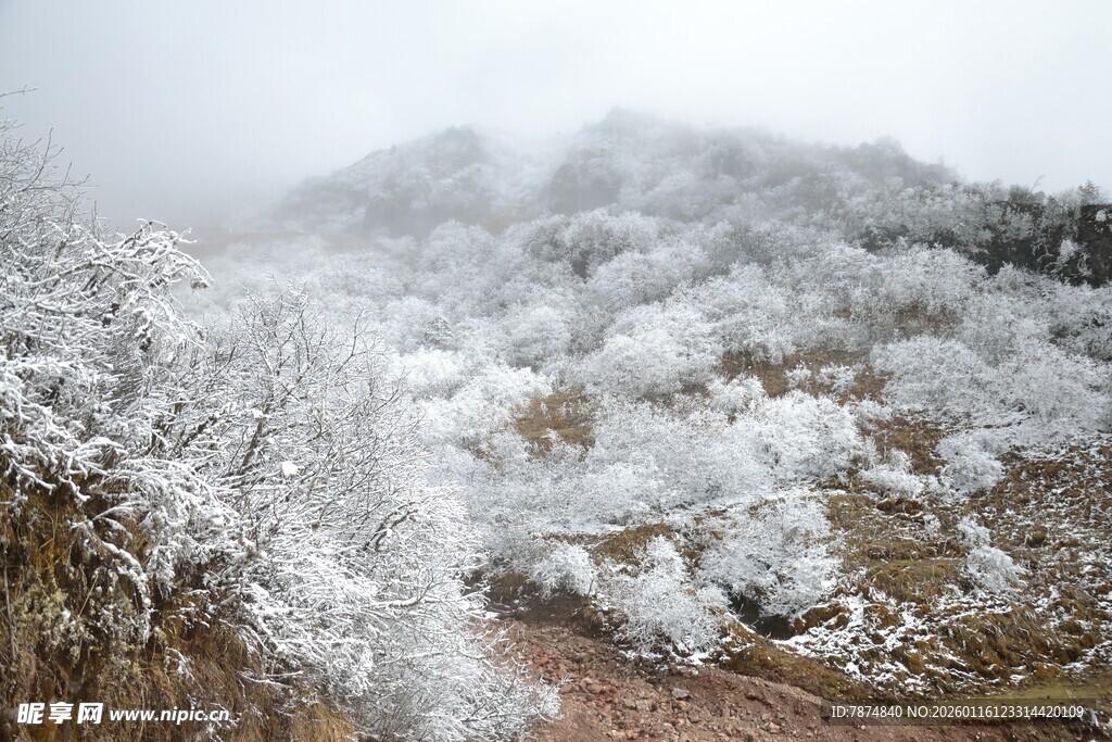 雪覆山林美景