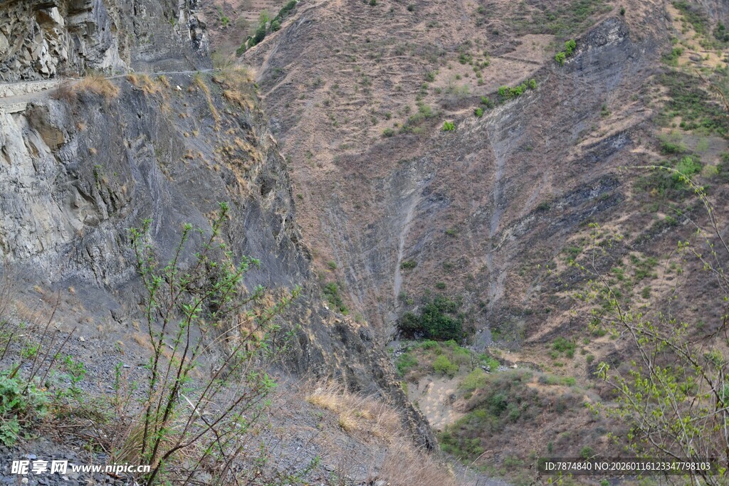 陡峭山崖上的稀疏植被