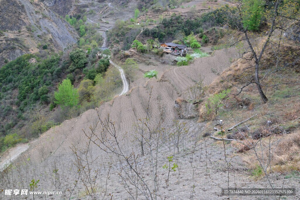 山间蜿蜒小路 自然景致