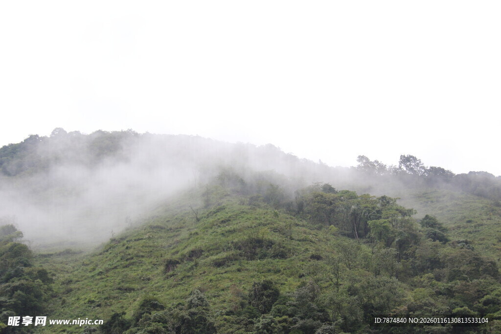 云雾缭绕的翠绿山峦