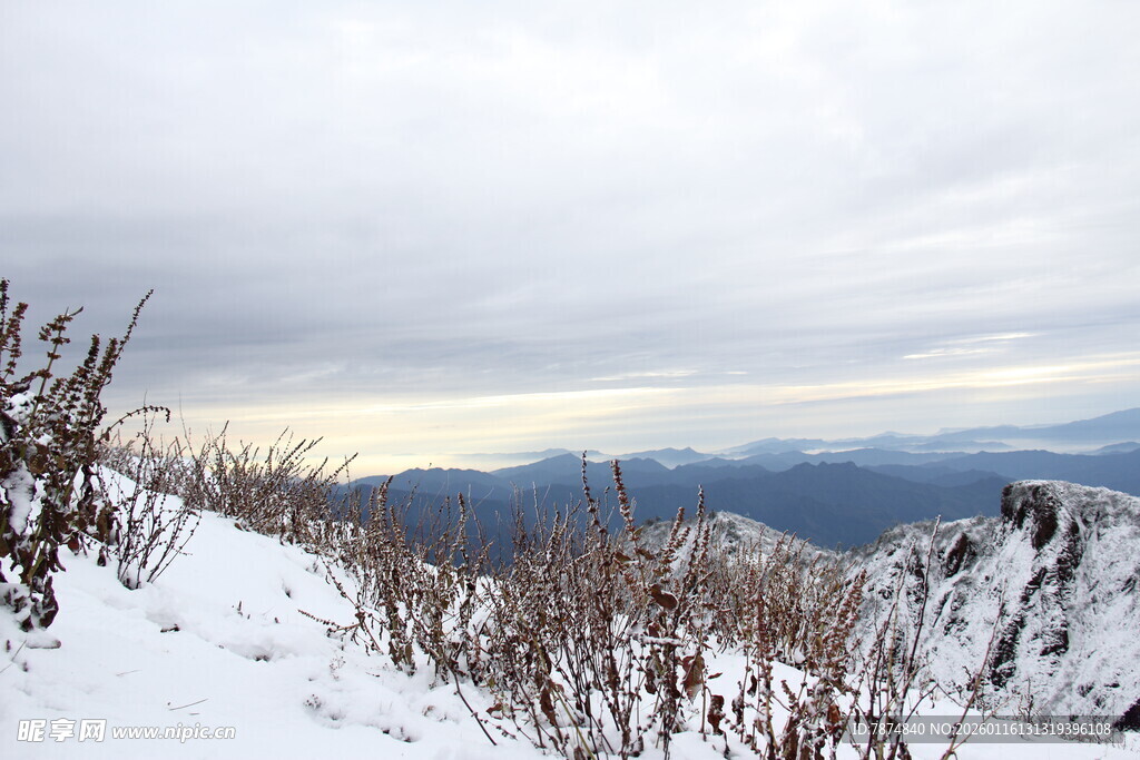 雪覆山峦 枯草挺立