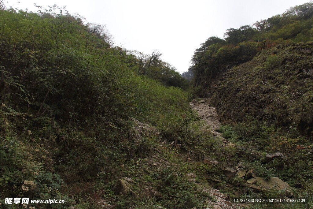 山间小径 绿意盎然