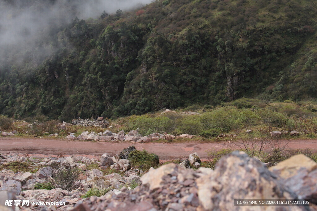 山间碎石地 云雾绕绿植