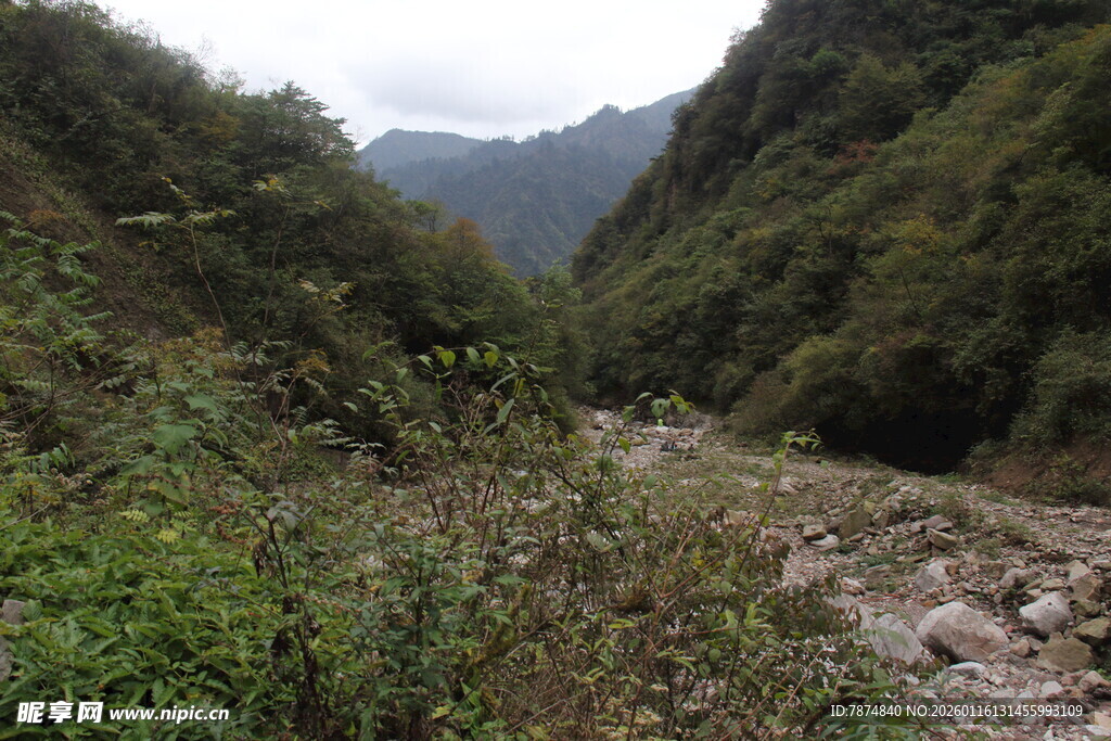 山间幽深小径 绿意盎然