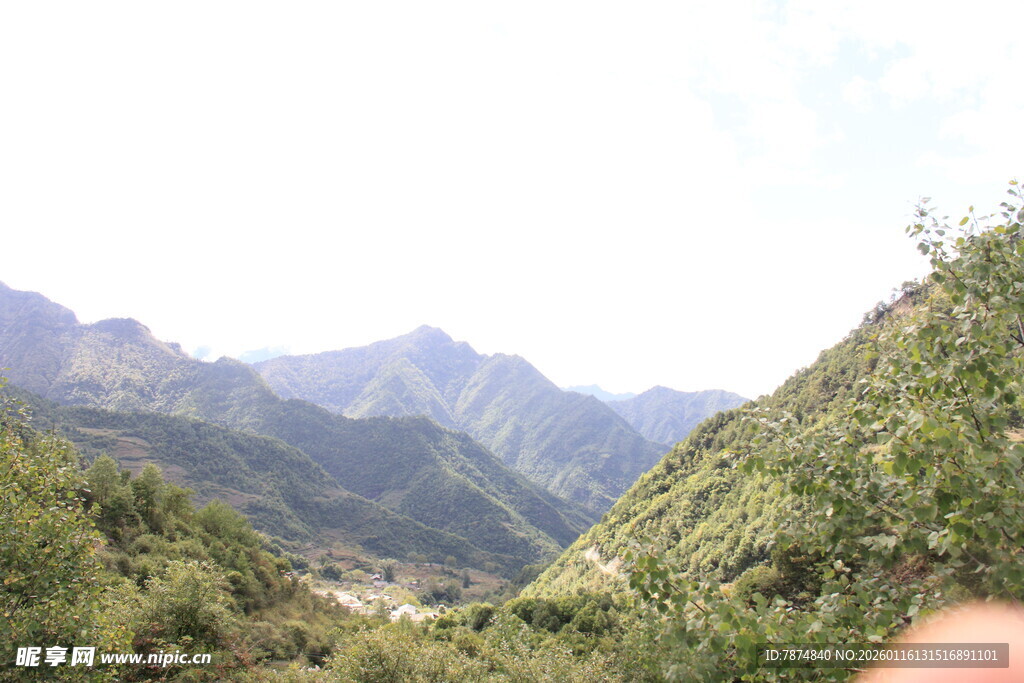 山间绿意景色