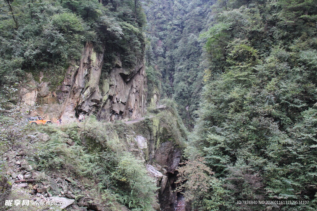 山间蜿蜒小路 绿意盎然