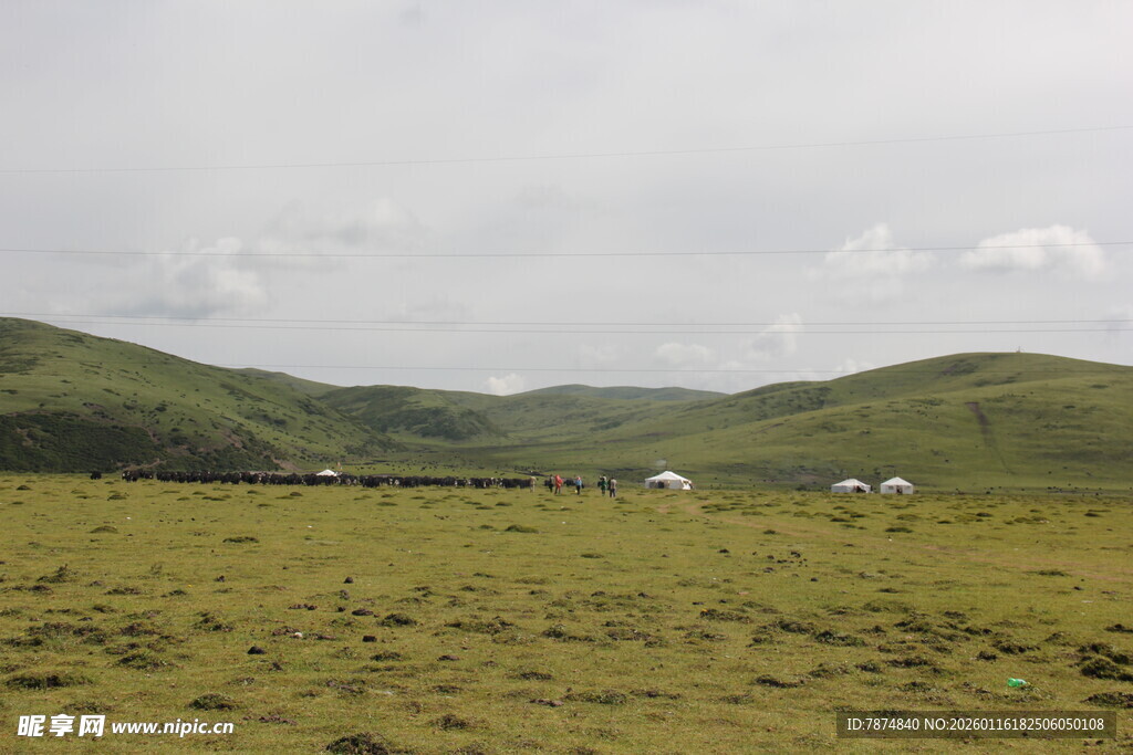 草原风光 远处山峦与房屋