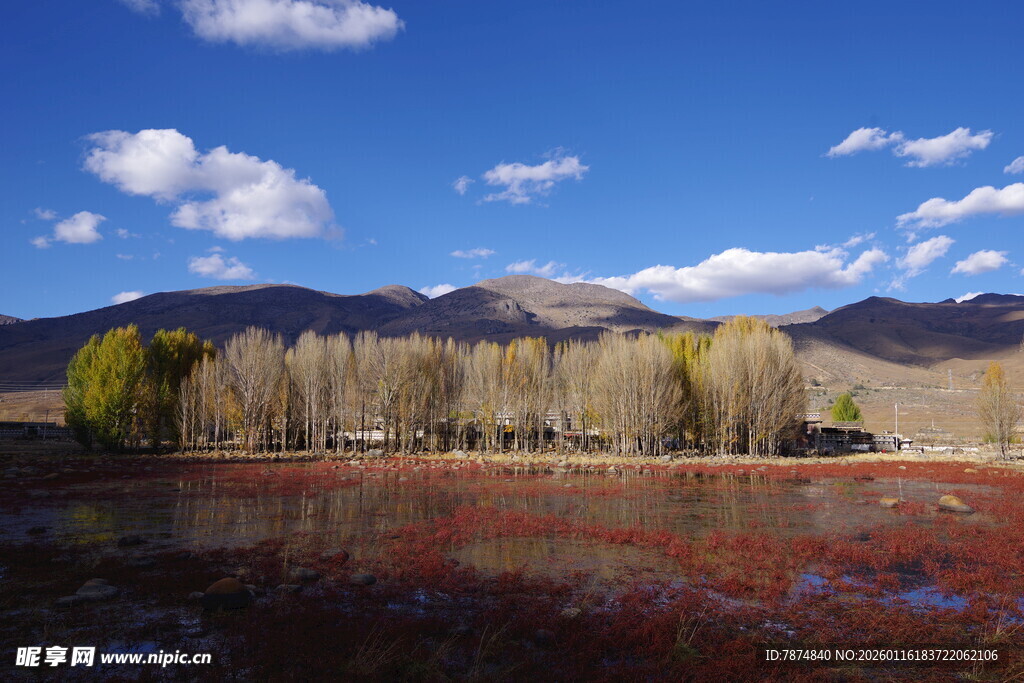 秋日旷野山林美景