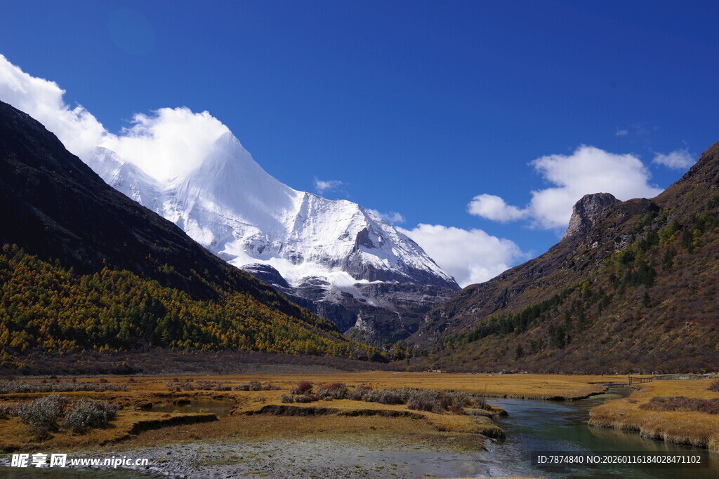 雪山下的河谷美景