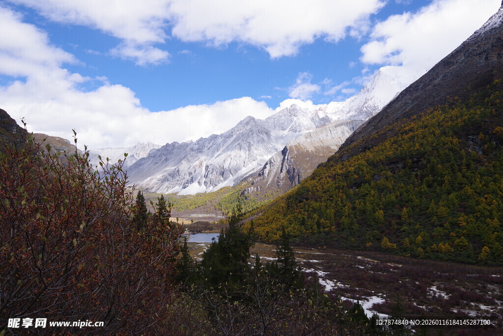山间美景 溪流伴雪山