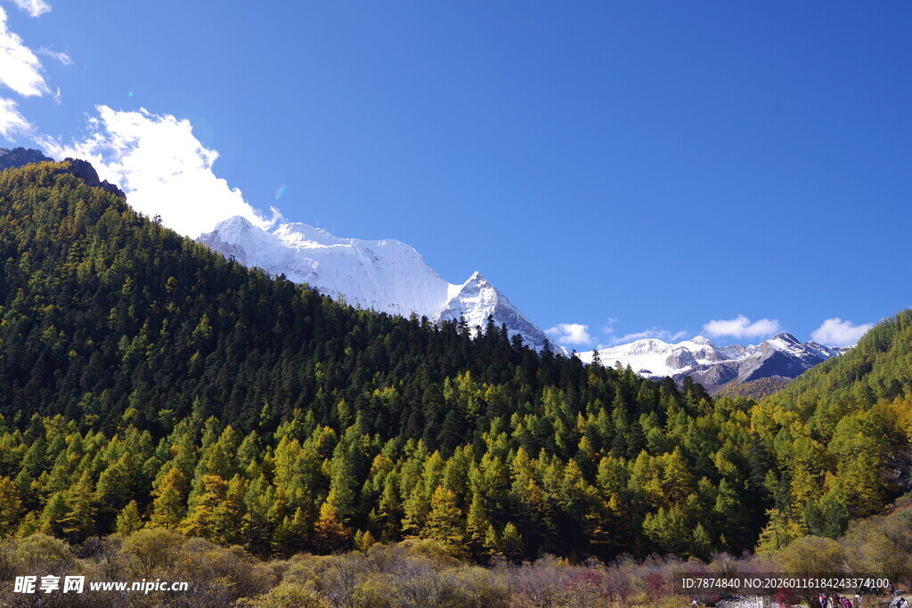 山林间的壮丽雪山景观
