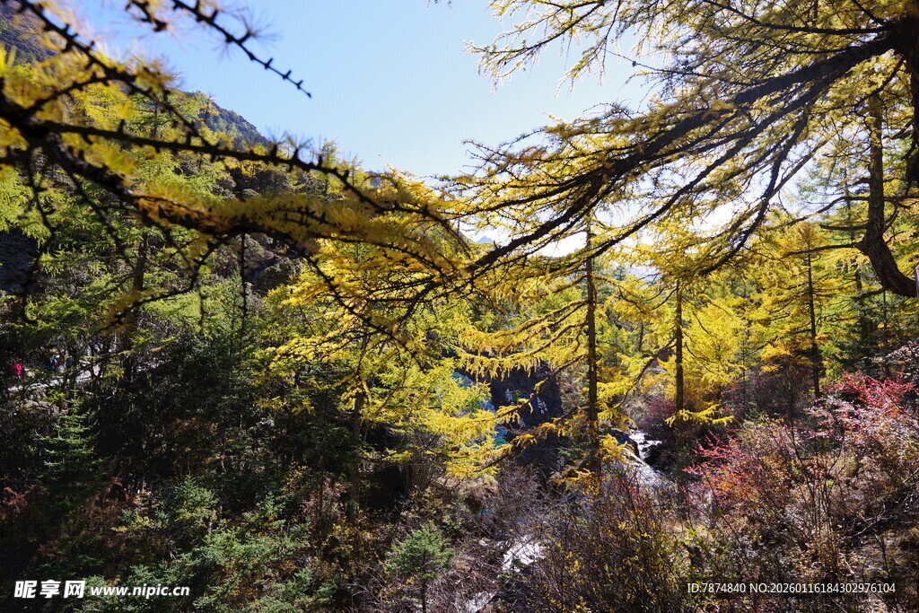 秋日山林斑斓美景