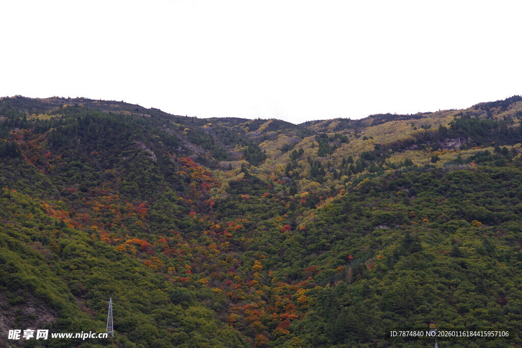 秋日山间斑斓景色