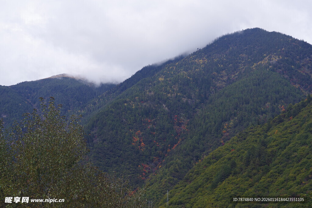 青山云雾间的自然美景