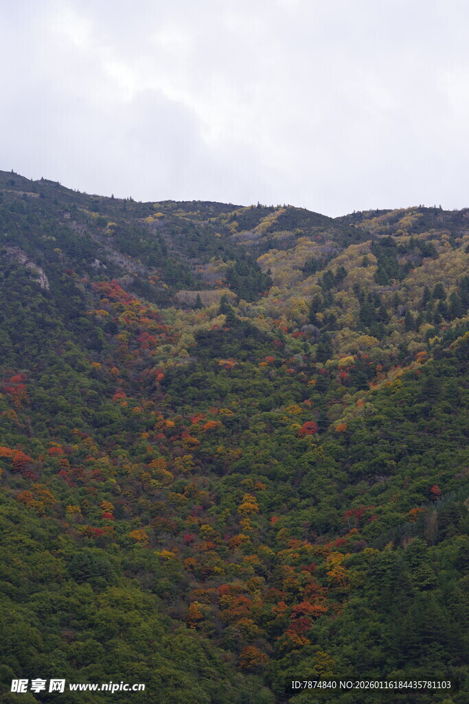 山峦间斑斓秋色美景