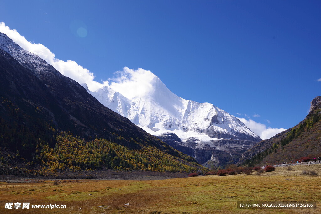 壮丽雪山下的开阔美景