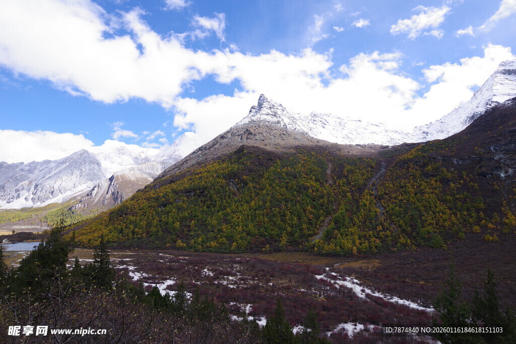 雪山下的多彩山林景观