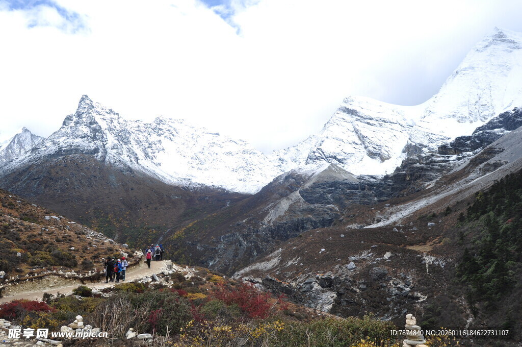雪山下的美丽山谷风光
