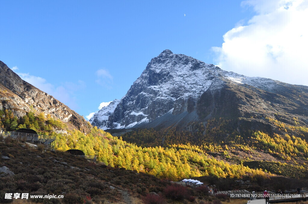 雪山下的秋日山林美景