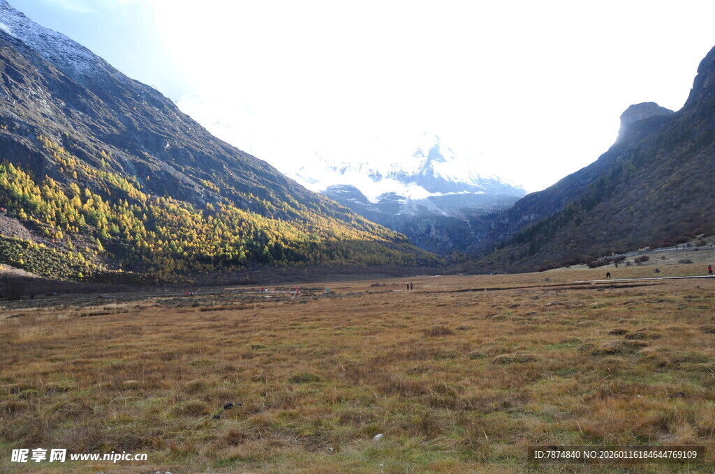 山谷草地风光美景