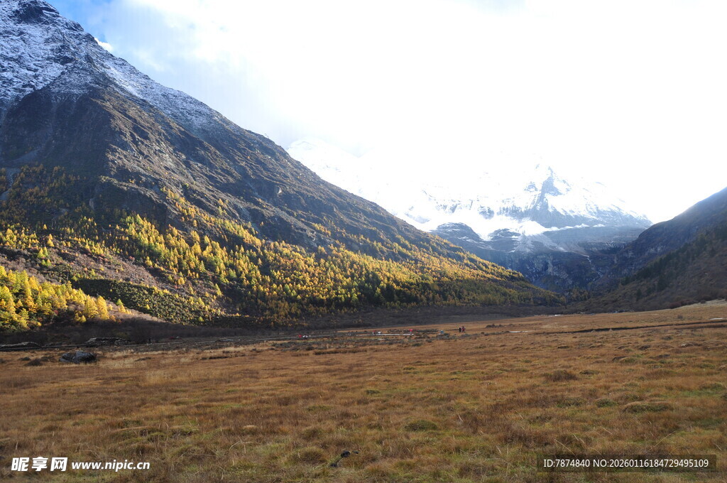 秋日山间开阔草原美景