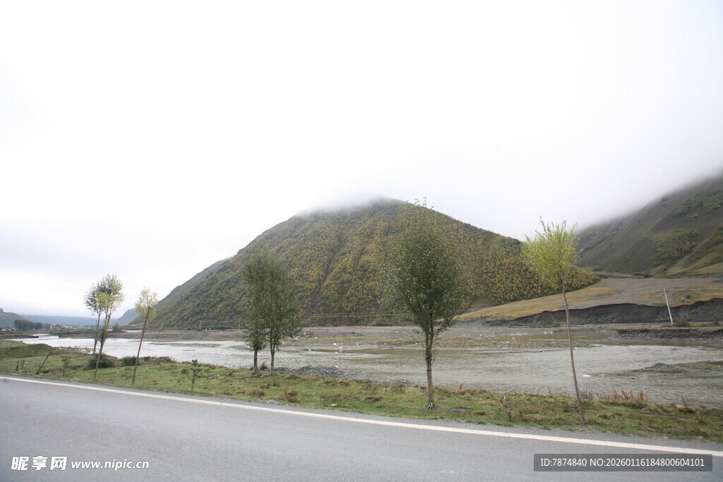 公路旁的山峦与树木景观
