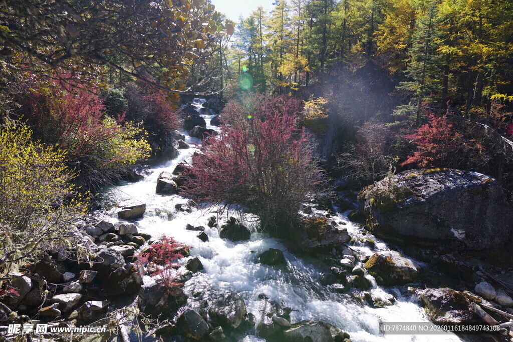 秋日山间潺潺溪流美景