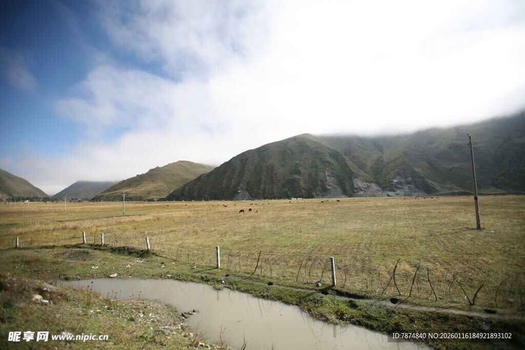 山间草地与蜿蜒小径